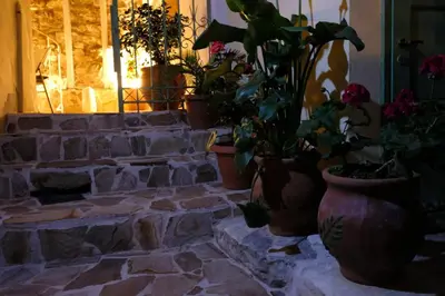 a group of potted plants sitting on a stone staircase at George Studio in Athens