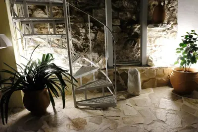 a glass stair case in a room with plants at George Studio in Athens