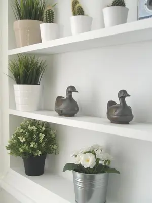a shelf with potted plants and flowers on it at Artistic Deco Apartment in Athens