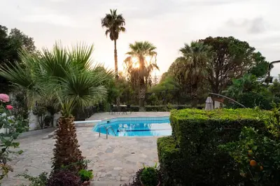 a swimming pool in a garden with palm trees at Casa Saronida in Lagonissi