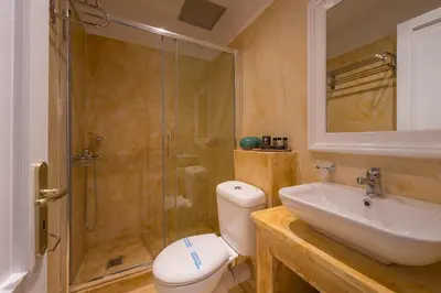 a bathroom with a shower and a toilet and a sink at Palladian Home in Athens