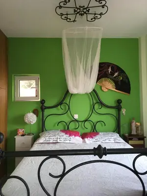 a bedroom with green walls and a bed with a canopy at Seaview near Athens & Sounio in Anavissos