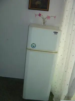 a white refrigerator with a vase on top of it at Medea in Athens