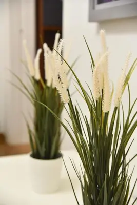 two potted plants are sitting on a table at Perfect athens in Athens