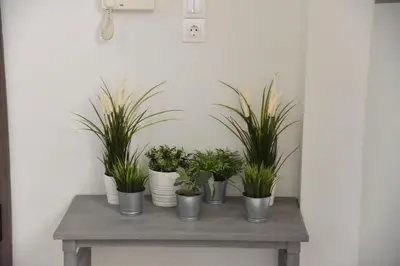 a bunch of potted plants sitting on a table at Perfect athens in Athens