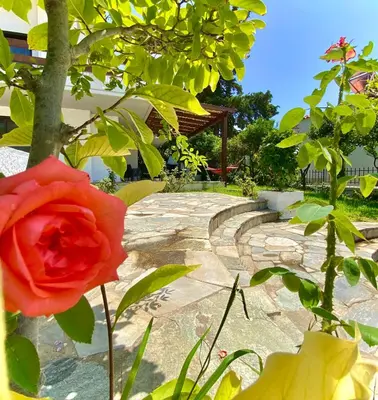a red rose in front of a stone walkway at Villa Naya by the Beach in Anavissos