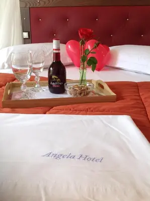 a tray with a bottle of wine and glasses on a bed at Angela Hotel in Agia Marina Aegina