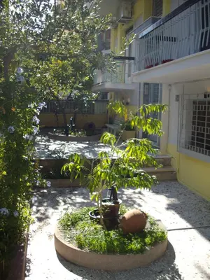 a small tree in a pot in front of a building at KOKONI APARTMENTS AMBELOKIPI, ATHENS in Athens