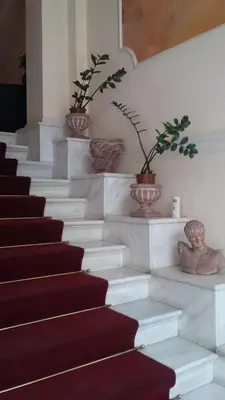 a group of stairs with plants in vases at Exis Hotel in Athens