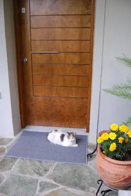a cat laying on a mat in front of a door at Affordable luxury garden apartment in Athens