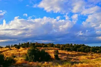 a field with trees and a blue sky with clouds at Cozy apartment in Acropolis with roof garden in Athens