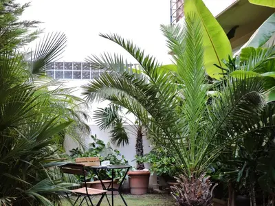 a courtyard with palm trees and a table and chairs at Luxurious Loft with Garden in Athens