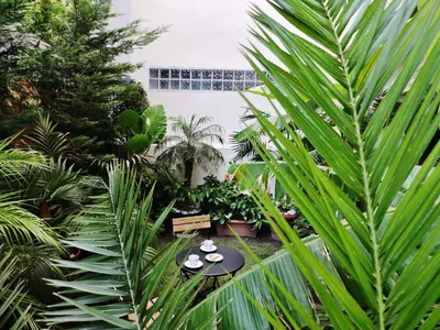a garden with two tables and palm trees at Luxurious Loft with Garden in Athens