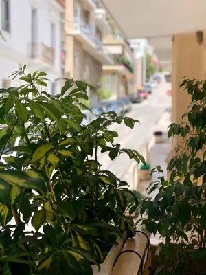 a green plant on a balcony of a building at Koukaki Apt 5 min walk to Acropolis in Athens