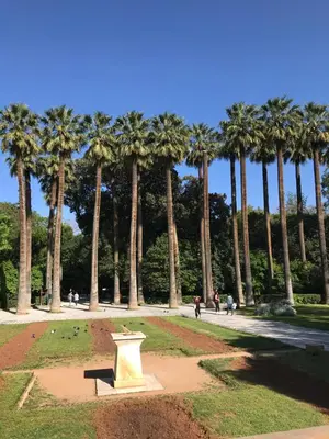 a park with palm trees and a bench in the grass at Acropolis Suite in Athens