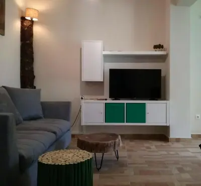 a living room with a couch and a flat screen tv at Biophylic - 3bdr apartment in Athens
