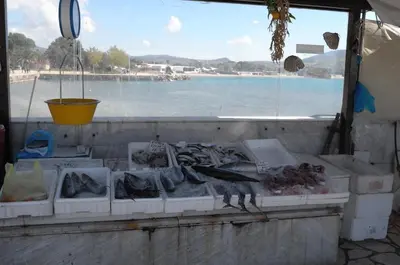 a bunch of fish on display in boxes on a table at Starapartment Athens-Varkiza Top 1 in Varkiza