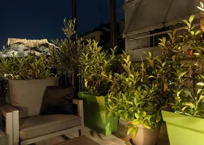 a group of plants in large pots next to a chair at Elia Apartments in Athens