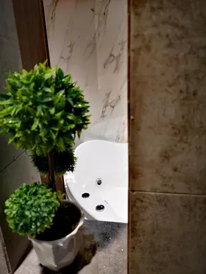 a bathroom with a sink and a potted plant at Dreamin Athens - Monastiraki Apartments in Athens