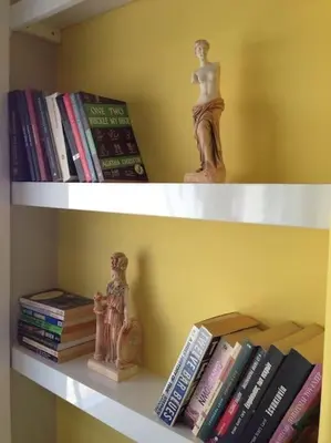 a book shelf with books and a statue of a man at Athens Plaka Modern Decorated Apartment in Athens