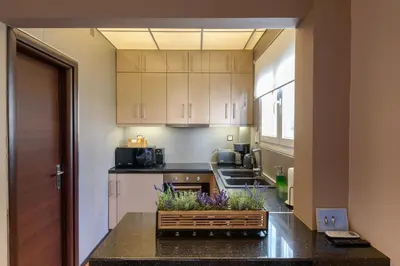 a kitchen with a sink and a counter with flowers on it at Armoniko in Athens