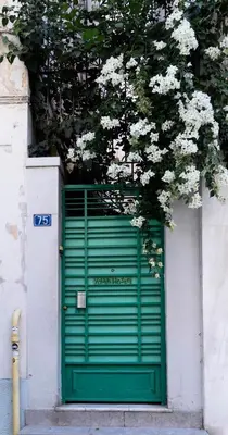 a green garage door with a flowering tree above it at Pagration Youth Hostel in Athens