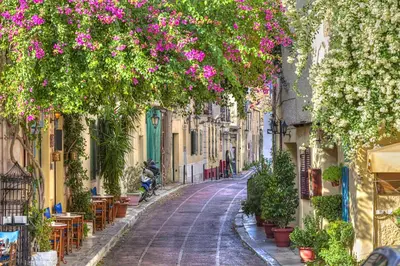 an empty street with pink flowers and tables and buildings at The Little Prince in Plaka in Athens