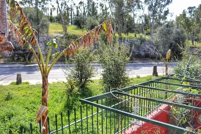 a fence with a plant next to a river at Stone house under Acropolis in Athens