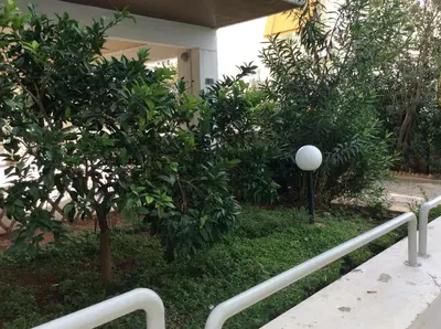 a white railing next to some trees and a building at Sunny apartment in Athens