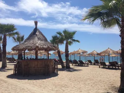 a beach with chairs and umbrellas and palm trees at Sunny apartment in Athens