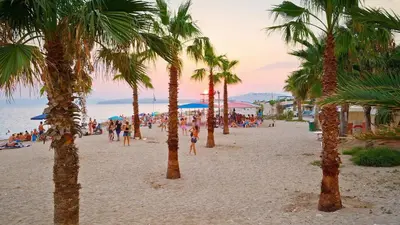 a group of people on a beach with palm trees at Sunny apartment in Athens
