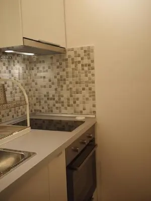 a small kitchen with a sink and a stove at Charming Studio Posh Quartier (Kolonaki Athens) in Athens