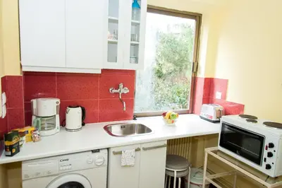a kitchen with a sink and a microwave at Stephany Apartment in Athens