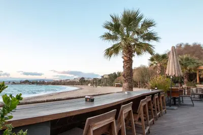 a long wooden bar with chairs and a palm tree at Krystal Apartment 