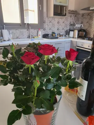 a vase with roses on a counter with a bottle of wine at Super Loft With Acropolis View in Athens