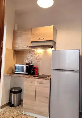 a kitchen with a refrigerator and a microwave at Ulysses Apartments Acropolis in Athens