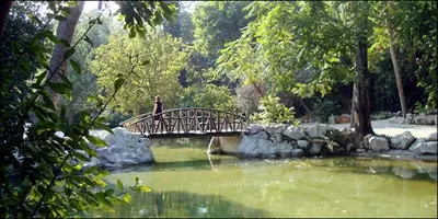 a wooden bridge over a pond in a park at The Best Spot in The Center in Athens