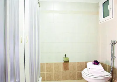 a bathroom with a toilet and a shower at Elizabeth Hotel in Athens