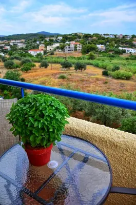 a glass table with a potted plant on a balcony at Vagia Beach Apartments, Aegina Island in Vaia