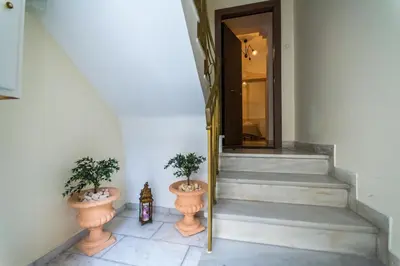 a stairway with two plants in vases in a hallway at Family House next to Acropolis in Athens