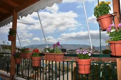 a balcony with potted plants on a fence at Helen house in Athens