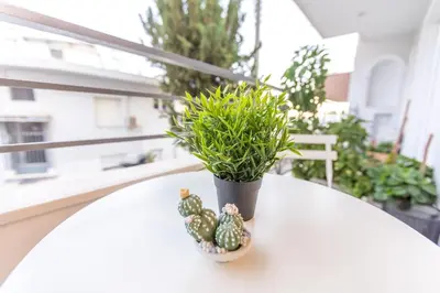 a plant in a pot sitting on a table at Piraeus Lux Secret in Piraeus