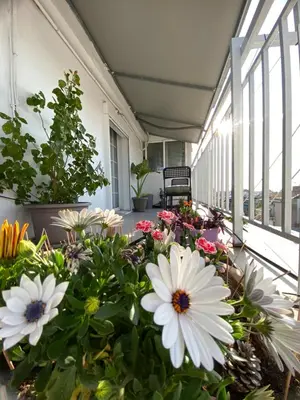 a porch with flowers and plants on it at Top Floor Apt with Balcony - Acropolis View & Sunset - Koukaki in Athens