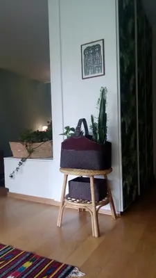 a table with a potted plant on top of it at Garden Studio 55 s.m. in Athens