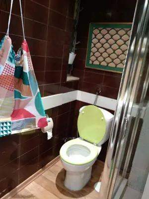 a bathroom with a toilet with a green lid at Garden Studio 55 s.m. in Athens