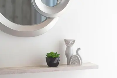 a shelf with a mirror and a vase and a plant at Zeus by Heloni Apartments in Athens