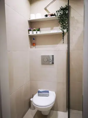 a small bathroom with a toilet and a shower at Syntagma Square Athenian apartments in Athens