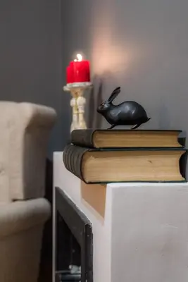 a toy rabbit sitting on top of some books at On the way to Ithaca in Athens