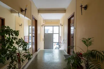 an empty hallway with potted plants in a building at The Sweetest Acropolis Flat in Athens