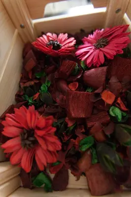 a bunch of red flowers in a wooden box at Athens City Themis 3 in Athens